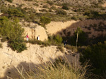 Grupo Mineralógico de Alicante. Cantera de Áridos Barranc de Cabiafic. Aigues de Busot. Alicante