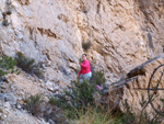 Grupo Mineralógico de Alicante.  Cantera de Áridos de Holcin, Busot. Alicante 