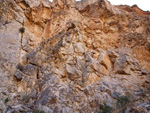 Grupo Mineralógico de Alicante. Cantera de Áridos Barranc de Cabiafic. Aigues de Busot. Alicante