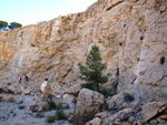 Grupo Mineralógico de Alicante. Cantera de Áridos Barranc de Cabiafic. Aigues de Busot. Alicante