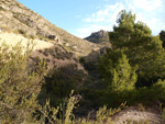 Grupo Mineralógico de Alicante. Cantera de Áridos Barranc de Cabiafic. Aigues de Busot. Alicante