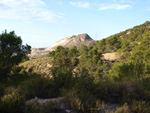 Grupo Mineralógico de Alicante. Cantera de Áridos Barranc de Cabiafic. Aigues de Busot. Alicante