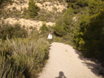 Grupo Mineralógico de Alicante. Cantera de Áridos Barranc de Cabiafic. Aigues de Busot. Alicante