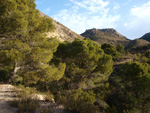 Grupo Mineralógico de Alicante. Cantera de Áridos Barranc de Cabiafic. Aigues de Busot. Alicante