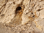 Grupo Mineralógico de Alicante. Paraje Barranco de Ojos. Aspe.  Alicante