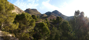 Grupo Mineralógico de Alicante. Cantera de Áridos Barranc de Cabiafic. Aigues de Busot. Alicante