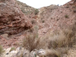 Grupo Mineralógico de Alicante. Afloramiento de Magnesitas. Camino de la Salmuera - Albatera - Hondón de los Frailes - Vega Baja - Alicante