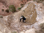 Grupo Mineralógico de Alicante.  Afloramiento de Magnesitas. Camino de la Salmuera - Albatera - Hondón de los Frailes - Vega Baja - Alicante 