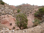 Grupo Mineralógico de Alicante. Afloramiento de Magnesitas. Camino de la Salmuera - Albatera - Hondón de los Frailes - Vega Baja - Alicante