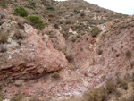 Grupo Mineralógico de Alicante. Afloramiento de Magnesitas. Camino de la Salmuera - Albatera - Hondón de los Frailes - Vega Baja - Alicante