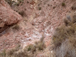 Grupo Mineralógico de Alicante. Afloramiento de Magnesitas. Camino de la Salmuera - Albatera - Hondón de los Frailes - Vega Baja - Alicante