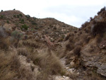 Grupo Mineralógico de Alicante. Afloramiento de Magnesitas. Camino de la Salmuera - Albatera - Hondón de los Frailes - Vega Baja - Alicante