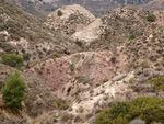 Grupo Mineralógico de Alicante. Afloramiento de Magnesitas. Camino de la Salmuera - Albatera - Hondón de los Frailes - Vega Baja - Alicante