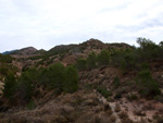 Grupo Mineralógico de Alicante. Afloramiento de Magnesitas. Camino de la Salmuera - Albatera - Hondón de los Frailes - Vega Baja - Alicante