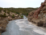 Grupo Mineralógico de Alicante. Afloramiento de Magnesitas. Camino de la Salmuera - Albatera - Hondón de los Frailes - Vega Baja - Alicante