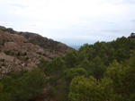 Grupo Mineralógico de Alicante. Afloramiento de Magnesitas. Camino de la Salmuera - Albatera - Hondón de los Frailes - Vega Baja - Alicante