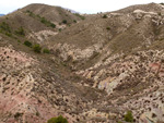 Grupo Mineralógico de Alicante. Afloramiento de Magnesitas. Camino de la Salmuera - Albatera - Hondón de los Frailes - Vega Baja - Alicante