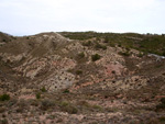 Grupo Mineralógico de Alicante. Afloramiento de Magnesitas. Camino de la Salmuera - Albatera - Hondón de los Frailes - Vega Baja - Alicante