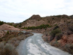 Grupo Mineralógico de Alicante. Afloramiento de Magnesitas. Camino de la Salmuera - Albatera - Hondón de los Frailes - Vega Baja - Alicante