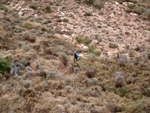 Grupo Mineralógico de Alicante. Afloramiento de Magnesitas. Camino de la Salmuera - Albatera - Hondón de los Frailes - Vega Baja - Alicante