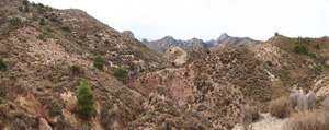 Grupo Mineralógico de Alicante. Afloramiento de Magnesitas. Camino de la Salmuera - Albatera - Hondón de los Frailes - Vega Baja - Alicante