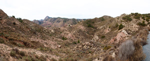 Grupo Mineralógico de Alicante. Afloramiento de Magnesitas. Camino de la Salmuera - Albatera - Hondón de los Frailes - Vega Baja - Alicante