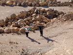 Grupo Mineralógico de Alicante. Cantera de Áridos de Holcin. Busot. Alicante