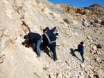 Grupo Mineralógico de Alicante. Cantera de Áridos de Holcin. Busot. Alicante