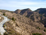 Grupo Mineralógico de Alicante. Afloramiento de Dolomitas. Camino de la Salmuera. ALbatera - Alicante