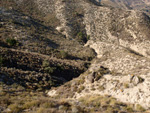 Grupo Mineralógico de Alicante. Afloramiento de Dolomitas. Camino de la Salmuera. ALbatera - Alicante