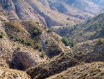 Grupo Mineralógico de Alicante. Afloramiento de Dolomitas. Camino de la Salmuera. ALbatera - Alicante