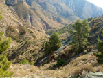 Grupo Mineralógico de Alicante. Afloramiento de Dolomitas. Camino de la Salmuera. ALbatera - Alicante