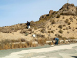 Grupo Mineralógico de Alicante. Afloramiento de Dolomitas. Camino de la Salmuera. ALbatera - Alicante