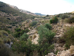 Grupo Mineralógico de Alicante. Cantera de Áridos de Holcin. Busot. Alicante