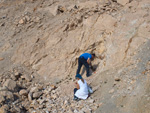 Grupo Mineralógico de Alicante. Cantera de Áridos de Holcin. Busot. Alicante