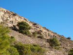 Grupo Mineralógico de Alicante. Llomes de Terol. Moralet - Alicante