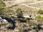 Grupo Mineralógico de Alicante. Llomes de Terol. Moralet - Alicante