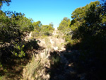 Grupo Mineralógico de Alicante. Llomes de Terol. Moralet - Alicante