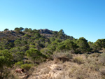 Grupo Mineralógico de Alicante. Llomes de Terol. Moralet - Alicante