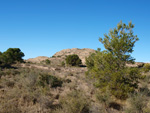 Grupo Mineralógico de Alicante. Llomes de Terol. Moralet - Alicante