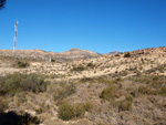 Grupo Mineralógico de Alicante. Llomes de Terol. Moralet - Alicante