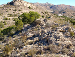 Grupo Mineralógico de Alicante. Llomes de Terol. Moralet - Alicante