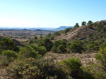 Grupo Mineralógico de Alicante.  Llomes de Terol. Moralet - Alicante 