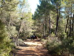 Barranco de la Escarabehuela, Enguídanos, Cuenca