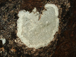 Barranco de la Escarabehuela, Enguídanos, Cuenca