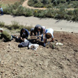 Barranco de la Escarabehuela, Enguídanos, Cuenca