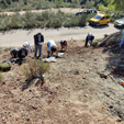 Barranco de la Escarabehuela, Enguídanos, Cuenca