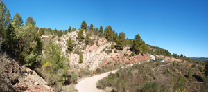 Barranco de la Escarabehuela, Enguídanos, Cuenca