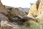 Explotaciones de yesos. Loma de las Indias. La Alcoraia. Alicante