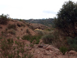 Cantera de arcillas el Chicano. Macisvenda. Murcia